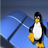 winlinux